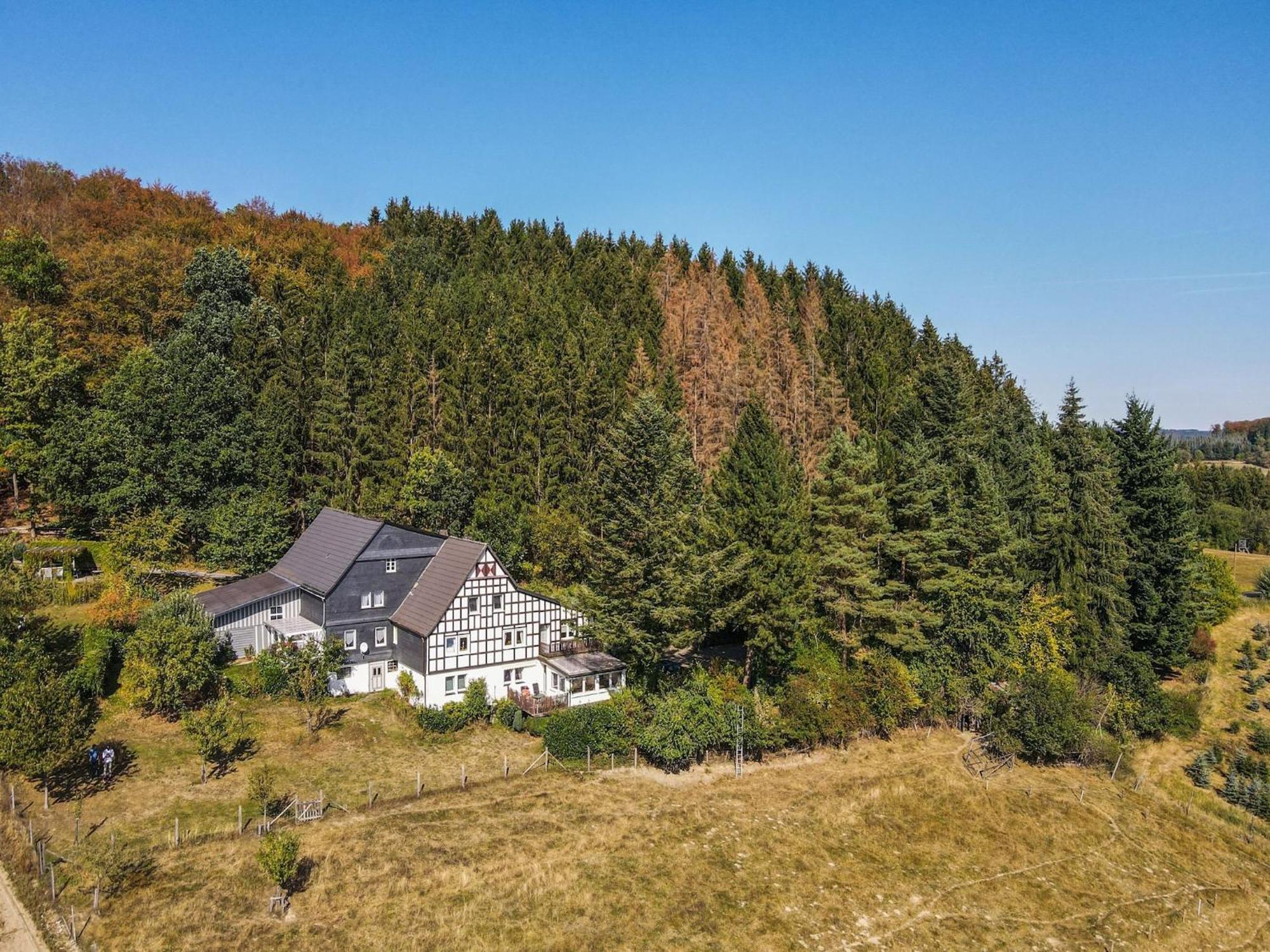 Cosy Apartment In Menkhausen Near The Ski Area Schmallenberg Bagian luar foto