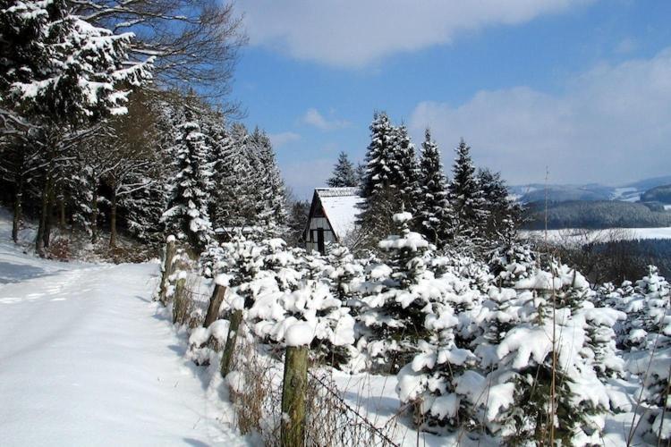 Cosy Apartment In Menkhausen Near The Ski Area Schmallenberg Bagian luar foto