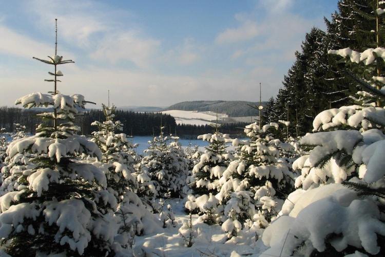 Cosy Apartment In Menkhausen Near The Ski Area Schmallenberg Bagian luar foto