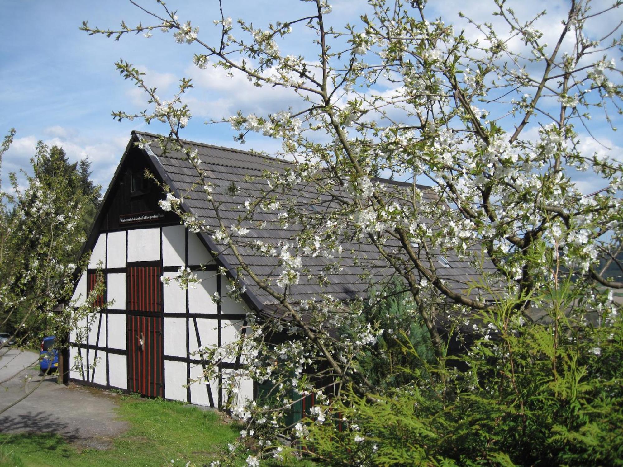 Cosy Apartment In Menkhausen Near The Ski Area Schmallenberg Bagian luar foto
